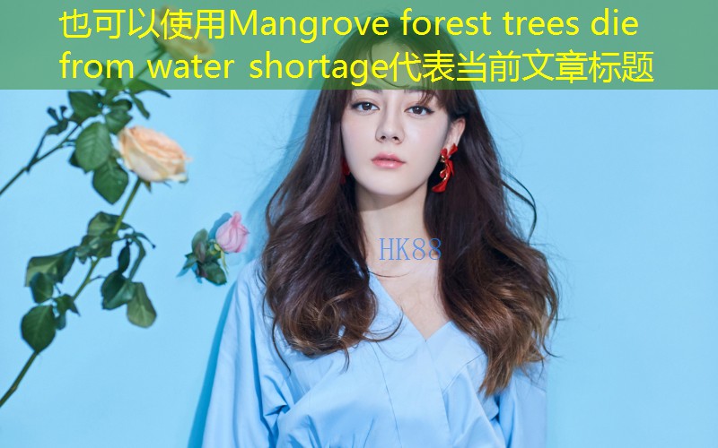 Mangrove forest trees die from water shortage